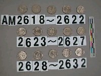 藏品(美國1角硬幣)的圖片